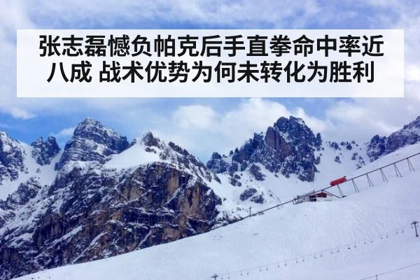 张志磊憾负帕克后手直拳命中率近八成 战术优势为何未转化为胜利
