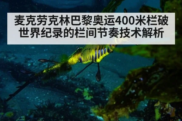 麦克劳克林巴黎奥运400米栏破世界纪录的栏间节奏技术解析
